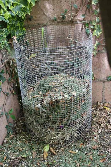 Large compost bin, made of wood and wire mesh, in a community garden, early  summer in Illinois, for themes of environment, recycling, organic  fertilization